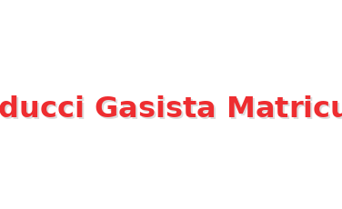 Apurducci Gasista Matriculado Logo