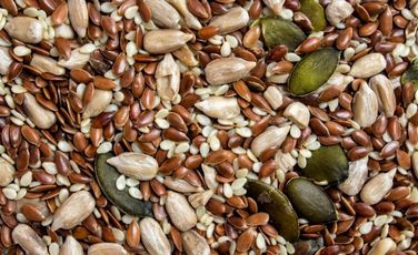 Monte Natural Dietética y repostería - Dietéticas en Sicardi